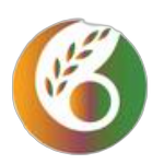 YY8848影视电视剧大全